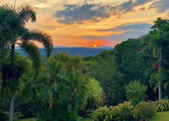 Daintree Manor B&B