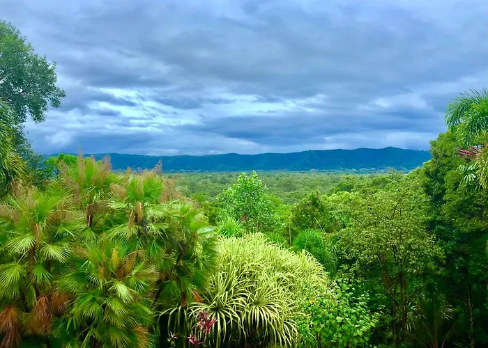 Daintree Manor B&B