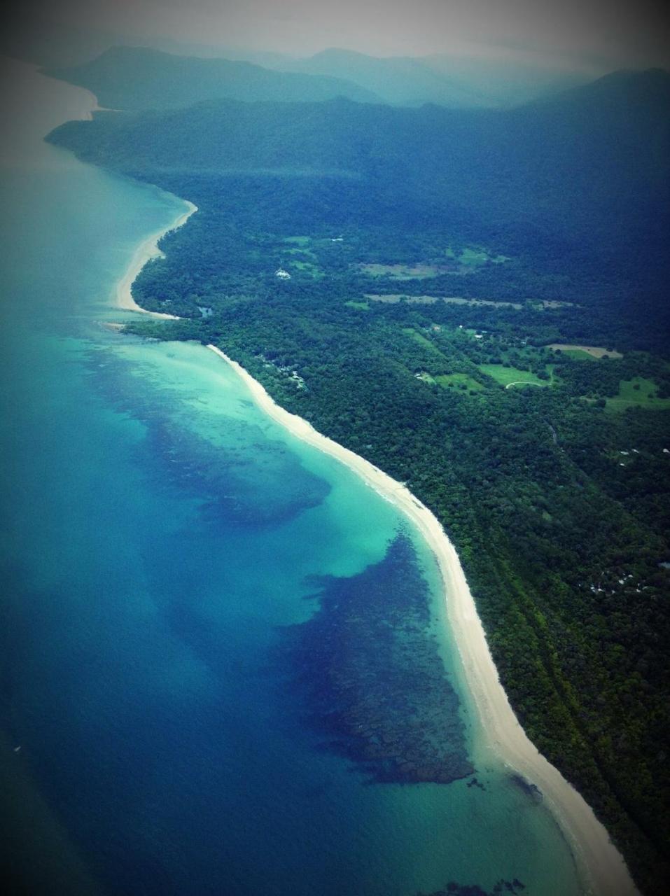 Manor Daintree